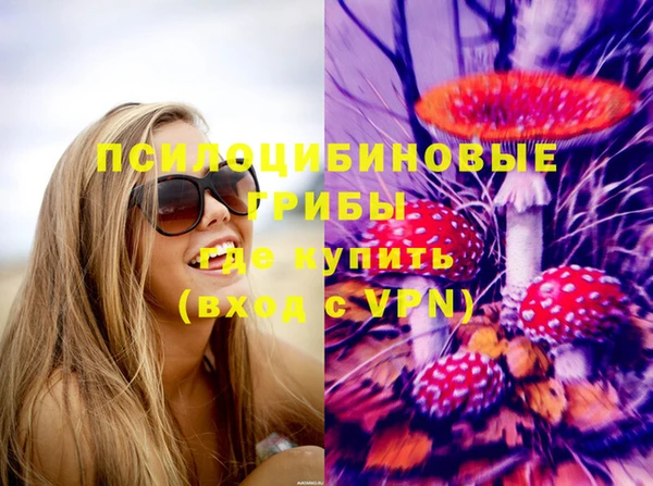 прущий лед Богородск