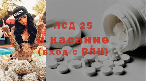 мескалин Богданович