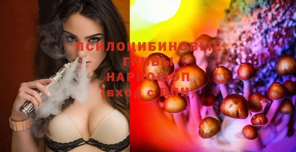 амф Богородицк