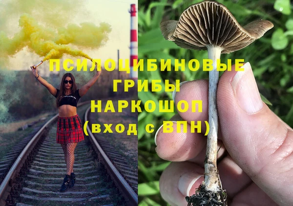 амф Богородицк
