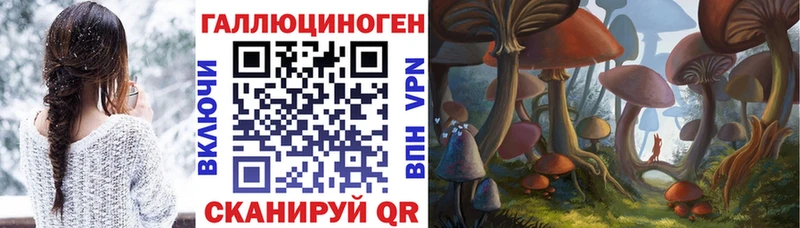 как найти   Дубна  Галлюциногенные грибы Psilocybine cubensis 